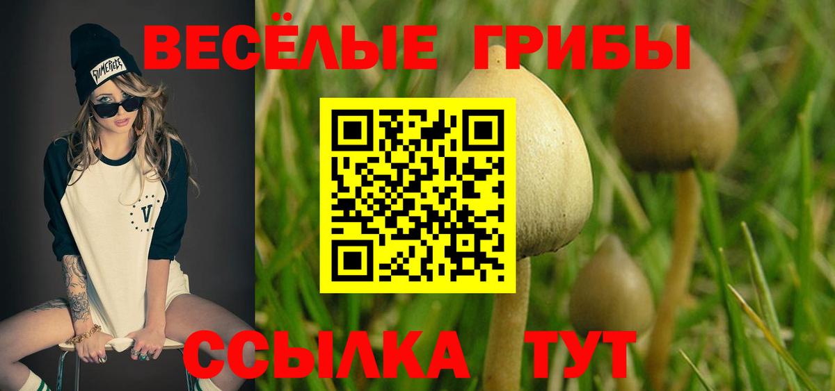 купить   Галлюциногенные грибы прущие грибы  Вход с VPN  Соликамск 